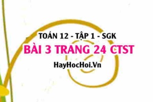 Bài 3 trang 24 Toán 12 tập 1 Chân trời sáng tạo